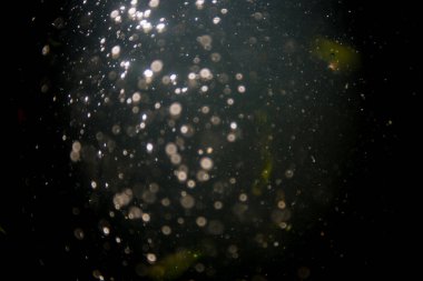 Doğal su dokusu arkaplanı Bokeh