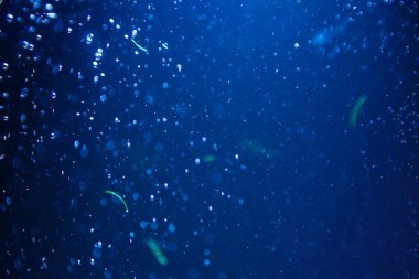 Abstract blue defocus bokeh glitter vintage lights with black background