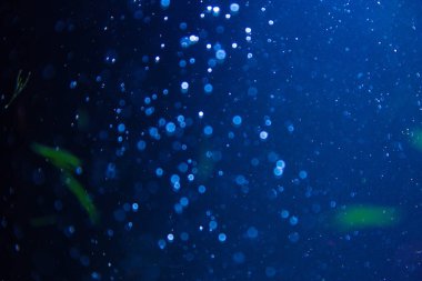 Abstract blue defocus bokeh glitter vintage lights with black background