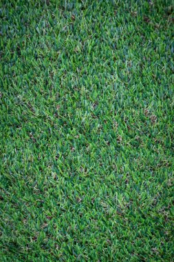 Yeşil yapay çim zemin arka planı