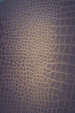 Kahverengi yılan derisi hayvan doğası.