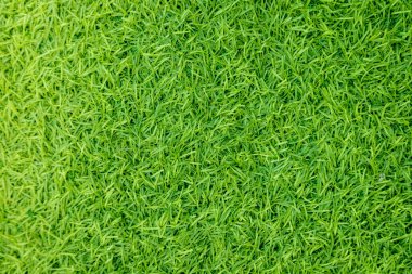 Yeşil yapay ot doğal