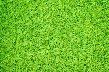 Yeşil yapay ot doğal