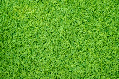 Yeşil yapay ot doğal