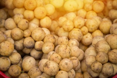 Longkong Thai meyveleri pazarda satılıyor.