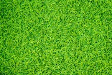 Yeşil yapay ot doğal
