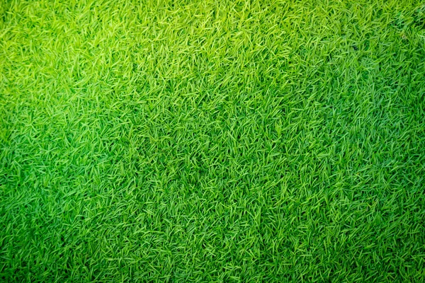 Zielona Trawa Sztuczna Naturalne Tło — Zdjęcie stockowe