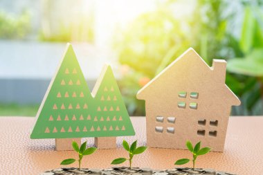 Ağaç bahçesi geçmişi olan model aile evi.