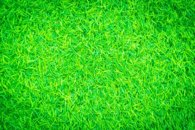 arkaplan için yeşil yapay çimen dokusu