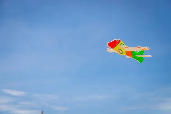Toy Plane Made Colorful Foam Catch Wind Beach — ストック写真