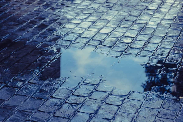 Stempel Beton Met Water Natte Vloer Reflectie Gebruik Voor Achtergrond — Stockfoto