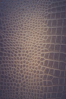 Kahverengi yılan derisi hayvan doğası.