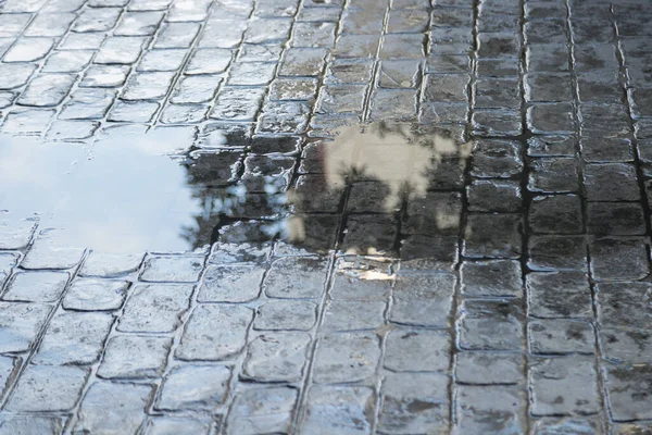 背景に水濡れ床反射使用のスタンプコンクリート — ストック写真