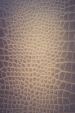 Kahverengi yılan derisi hayvan doğası.