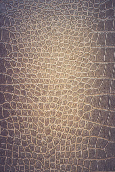 Brown Snake Skin Pattern Animal Nature Background — Stock Photo, Image