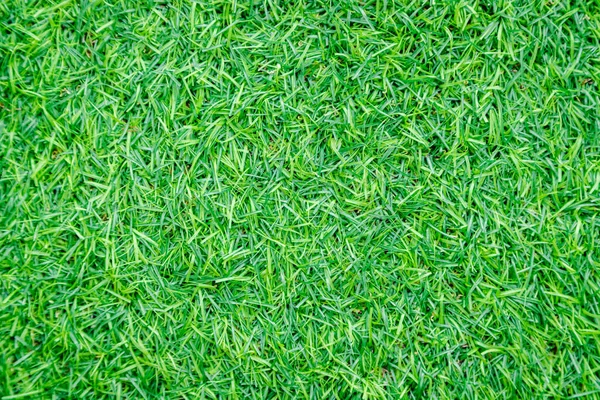 stock image Green artificial grass texture for background