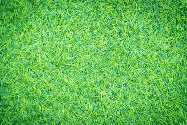 Green Artificial Grass Texture Background — Stock Photo, Image