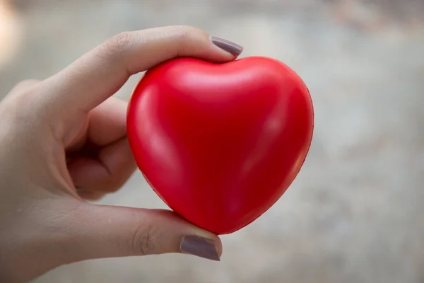 stock image Woman hold red heart use for background