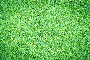arkaplan için yeşil yapay çimen dokusu