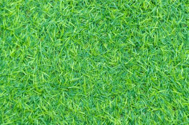 arkaplan için yeşil yapay çimen dokusu