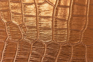 Arkaplan için kahverengi timsah desenli doku kullanımı