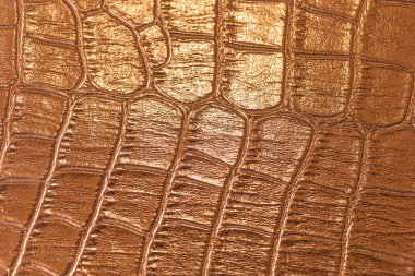 Arkaplan için kahverengi timsah desenli doku kullanımı