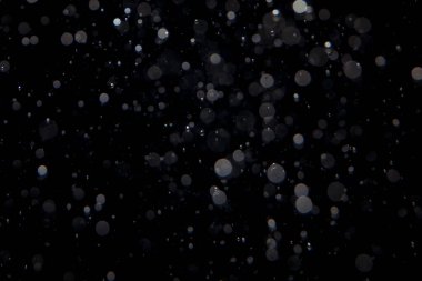 Soyut zarif simler, siyah arkaplana odaklanmış şekilde ışıldar.