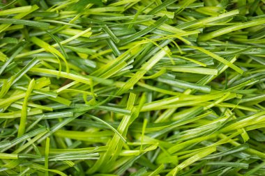 Çim dekorasyonu arka planı için yeşil yapay çimen