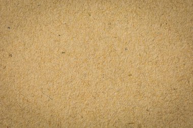 mantar pano veya mantar duvar desen ve ayrıntılı arkaplan