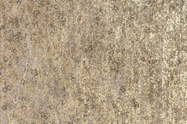 Klasik alçı duvar doğal.