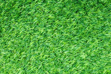 Doğal bahçe dekorasyonu için yeşil yapay çimen arka planı