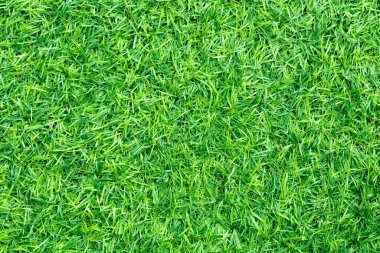 Doğal bahçe dekorasyonu için yeşil yapay çimen arka planı