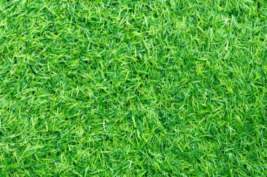 Doğal bahçe dekorasyonu için yeşil yapay çimen arka planı