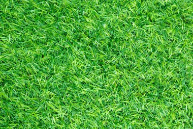 Doğal bahçe dekorasyonu için yeşil yapay çimen arka planı