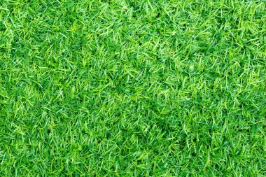 Doğal bahçe dekorasyonu için yeşil yapay çimen arka planı