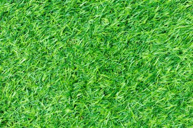 Doğal bahçe dekorasyonu için yeşil yapay çimen arka planı