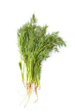 Taze yeşil organik dereotu beyaz arkaplanda izole edilmiş.