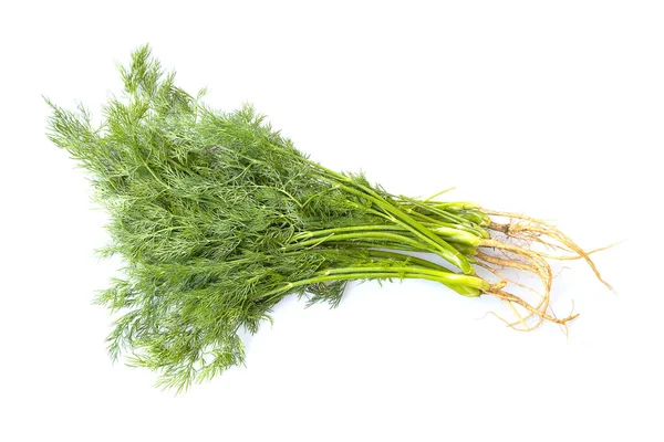 Fresh Green Organic Dill Isolated White Background — Stock Photo, Image