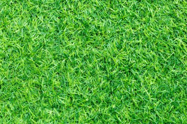 Doğal bahçe dekorasyonu için yeşil yapay çimen arka planı