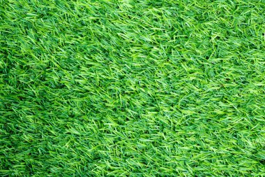 Doğal bahçe dekorasyonu için yeşil yapay çimen arka planı