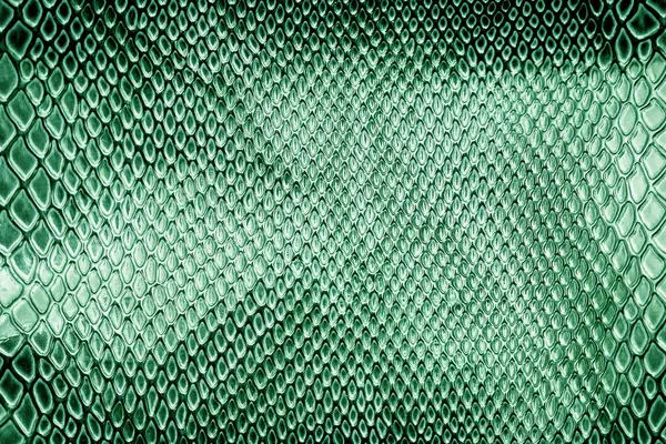 Gros Plan Peau Serpent Texture Utilisation Pour Fond — Photo