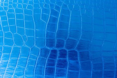 Arka plan olarak kullanılan mavi yapay timsah derisi dokusu