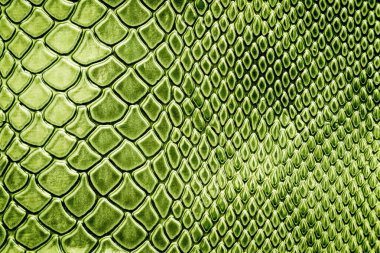 Arkaplan için yılan derisi dokusu kullanımını kapat