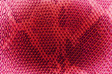 Arkaplan için yılan derisi dokusu kullanımını kapat