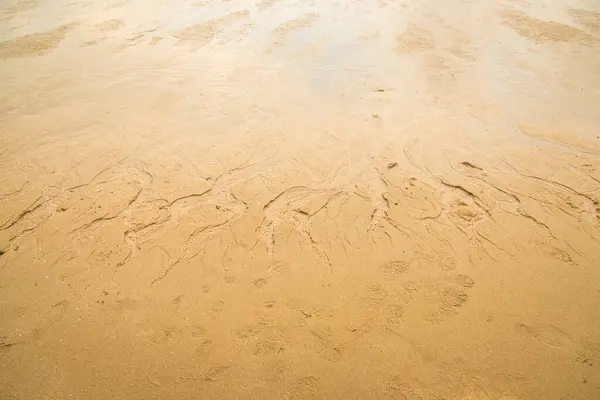 水はビーチテクスチャの自然の背景に砂を浸食する — ストック写真