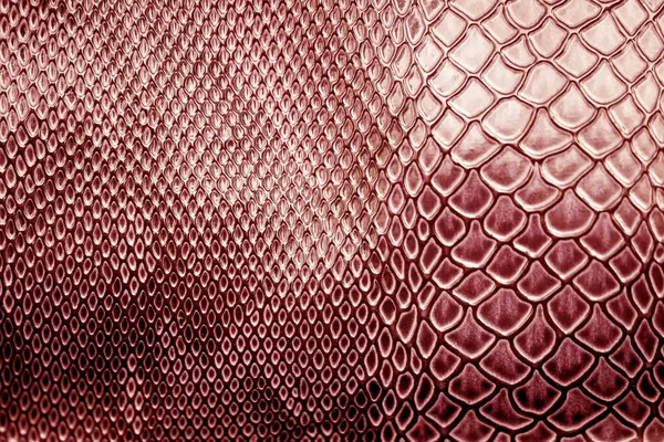 Közeli Hoz Kígyó Bőr Textúra Használata Háttér Stock Fotó
