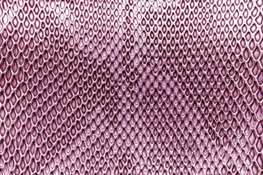 Arkaplan için yılan derisi dokusu kullanımını kapat