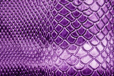 Arkaplan için yılan derisi dokusu kullanımını kapat