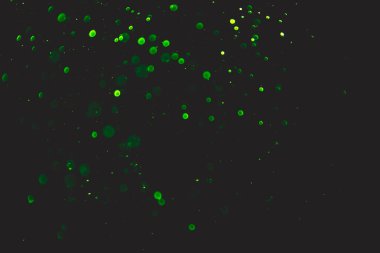 yeşil bokeh doğal siyah arkaplan