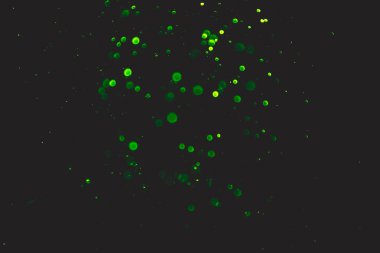 yeşil bokeh doğal siyah arkaplan